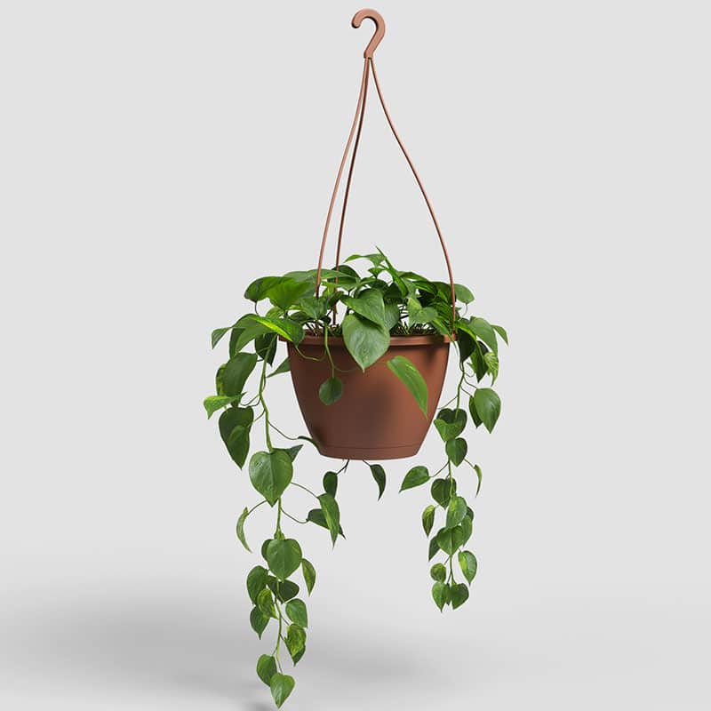 ARTEVASI - Vaso Algarve Suspensão 25CM Terracota