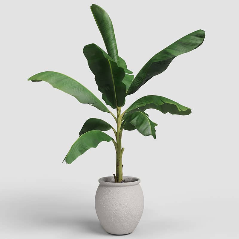 ARTEVASI - Vaso Artemis 29CM Branco