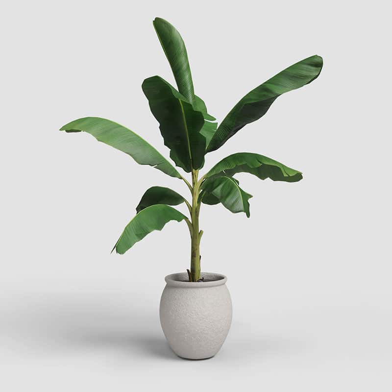 ARTEVASI - Vaso Artemis 34CM Branco