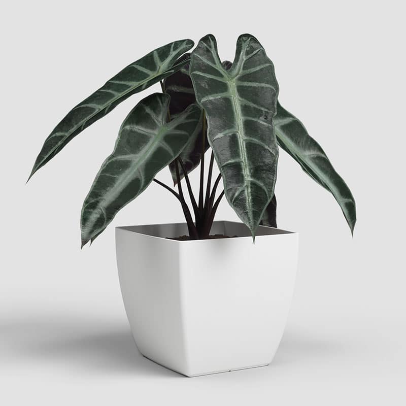 ARTEVASI - Vaso Siena Mate 20CM Branco