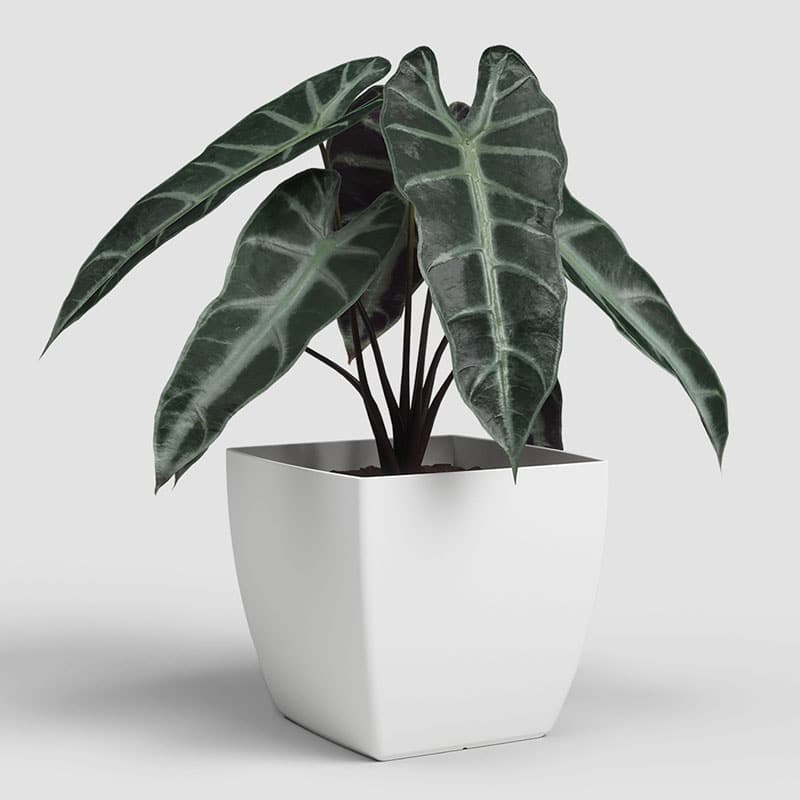 ARTEVASI - Vaso Siena Mate 30CM Branco