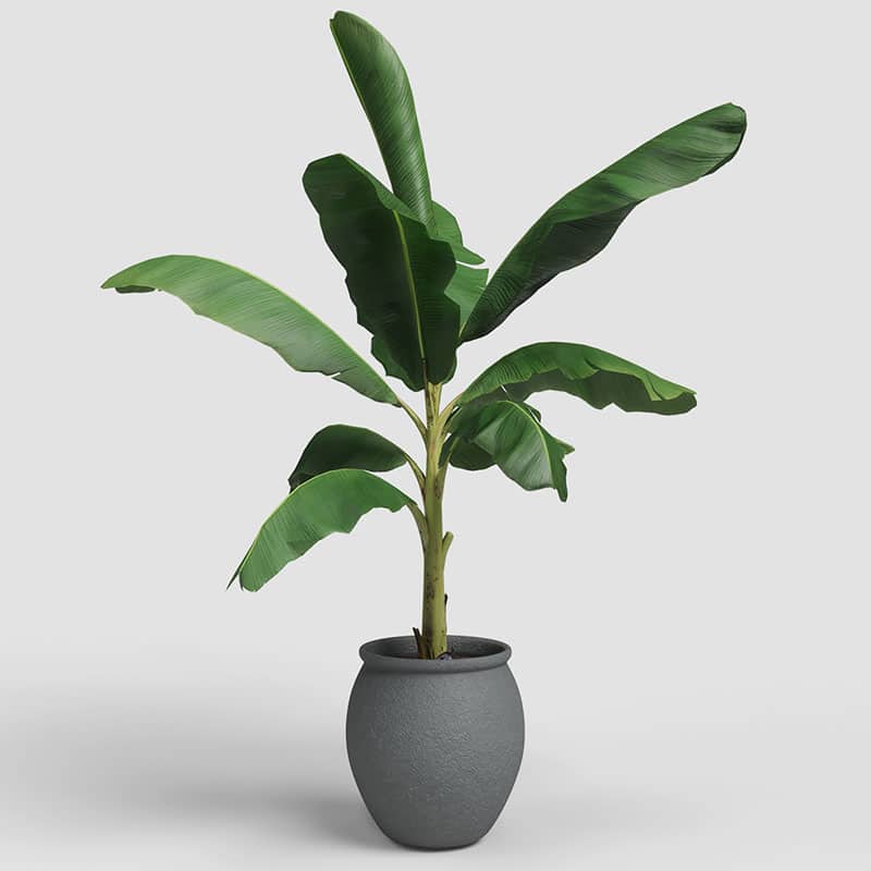 ARTEVASI - Vaso Artemis 29CM Antracite