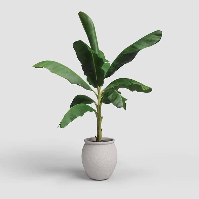ARTEVASI - Vaso Artemis 39CM Branco