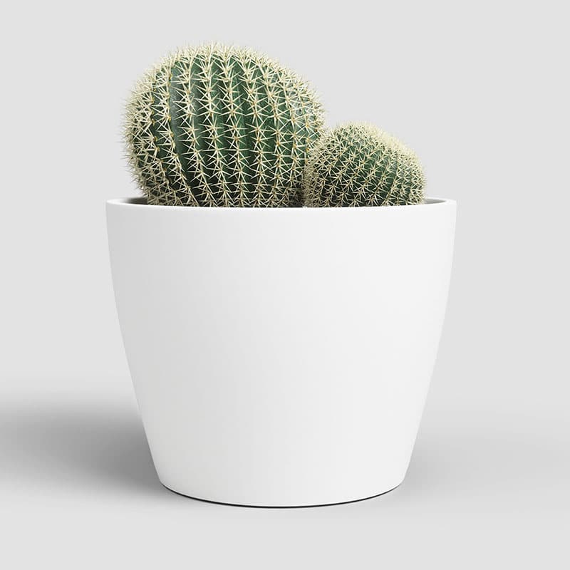 ARTEVASI - Vaso Núbia Cactus 9CM Branco