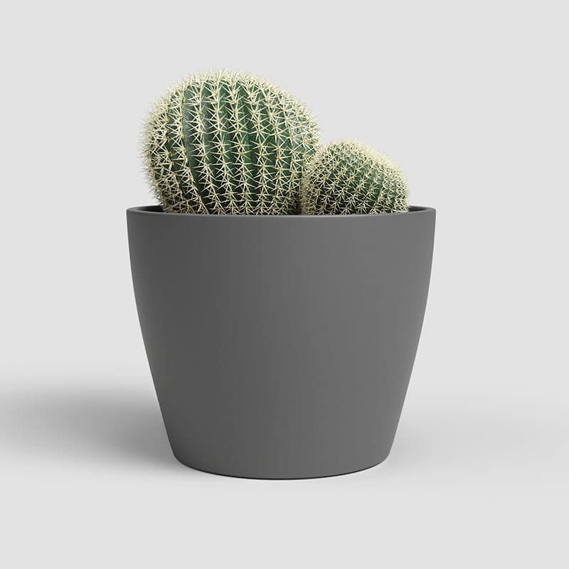 ARTEVASI - Vaso Núbia Cactus 9CM Antracite