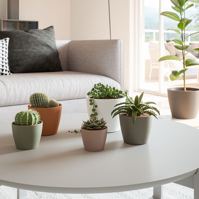 ARTEVASI - Vaso Núbia Cactus 9CM Antracite