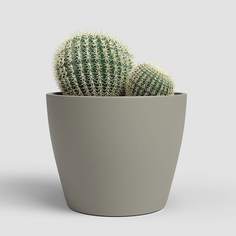 ARTEVASI - Vaso Núbia Cactus 9CM Tortora