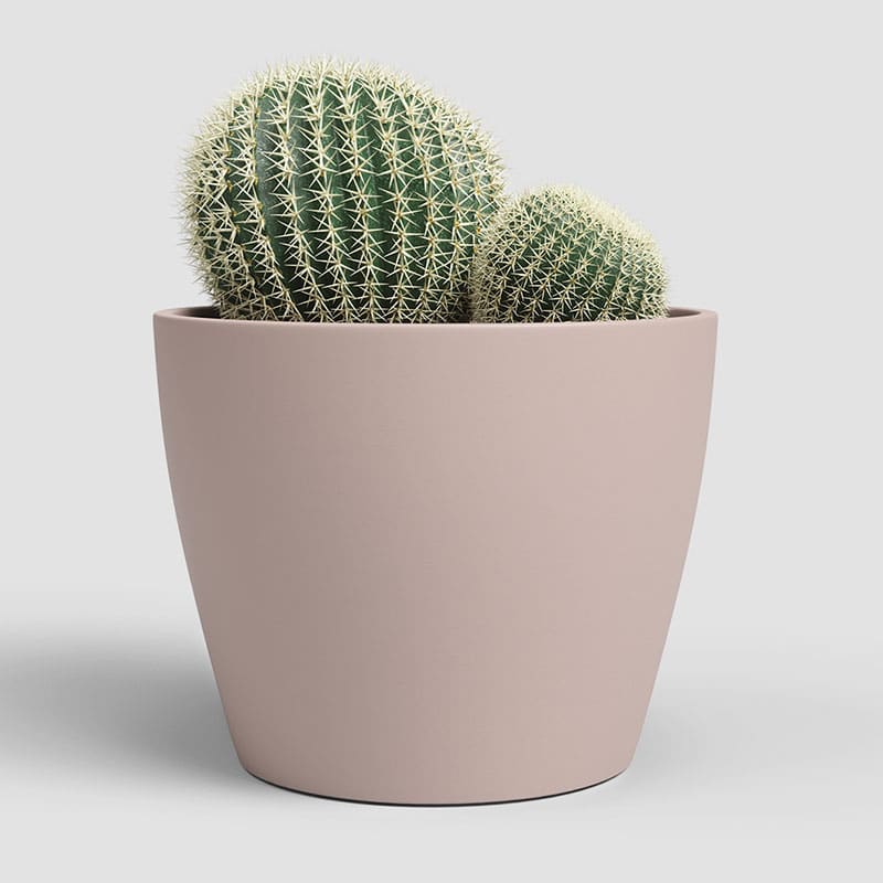 ARTEVASI - Vaso Núbia Cactus 9CM Rosa Claro