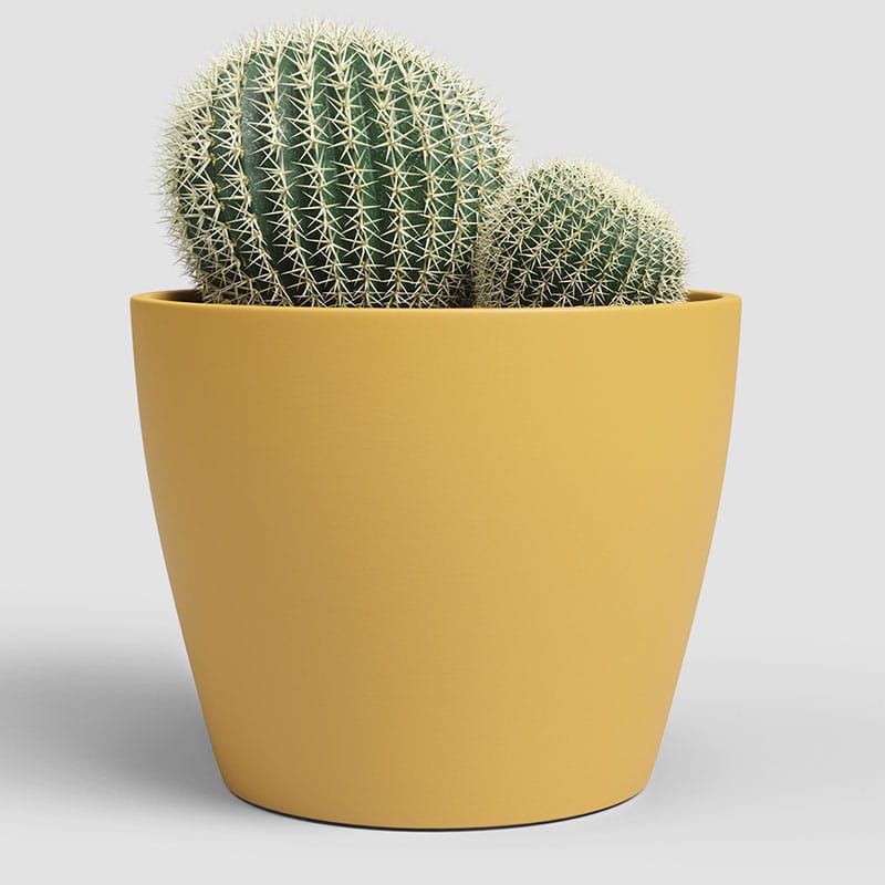ARTEVASI - Vaso Núbia Cactus 9CM Amarelo