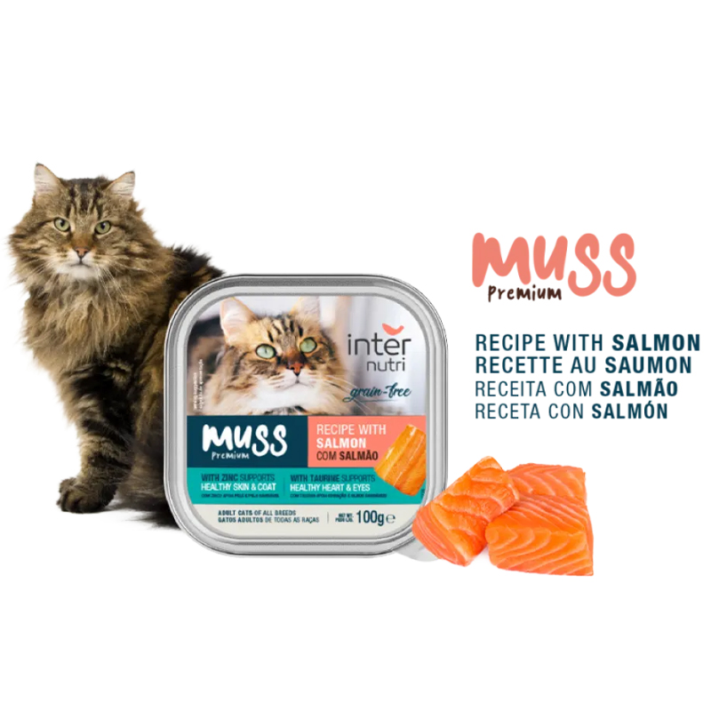 INTERNUTRI - Alimento Húmido Gato Salmão 100G