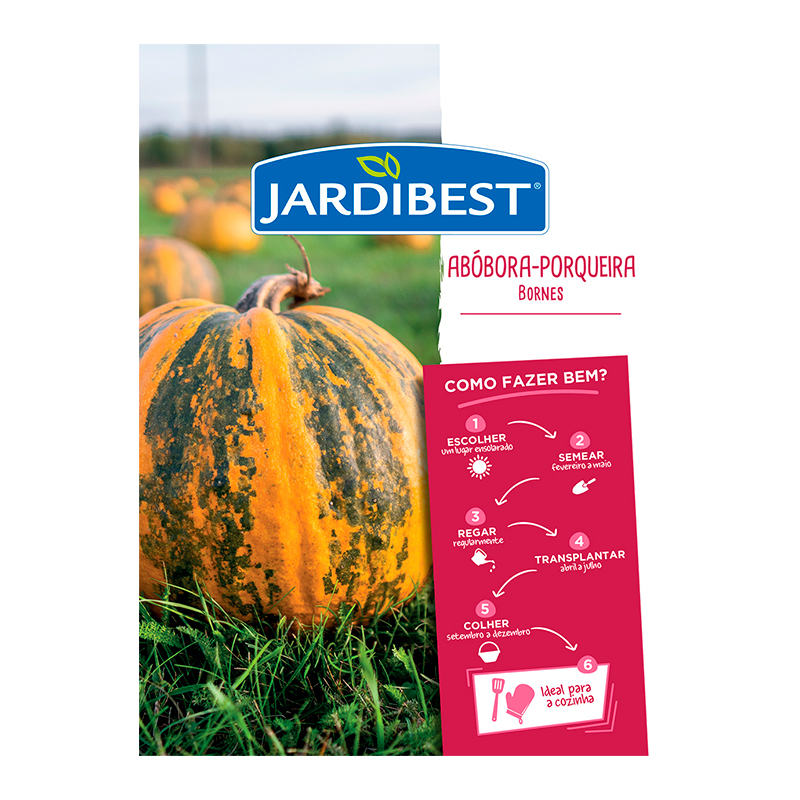 JARDIBEST - Semente Abóbora-porqueira Bornes