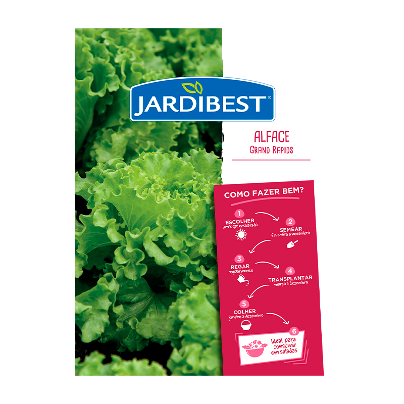JARDIBEST - Semente Alface Grand Rapids