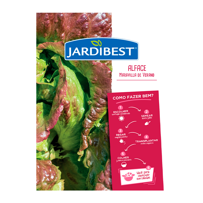 JARDIBEST - Semente Alface Maravilla De Verano