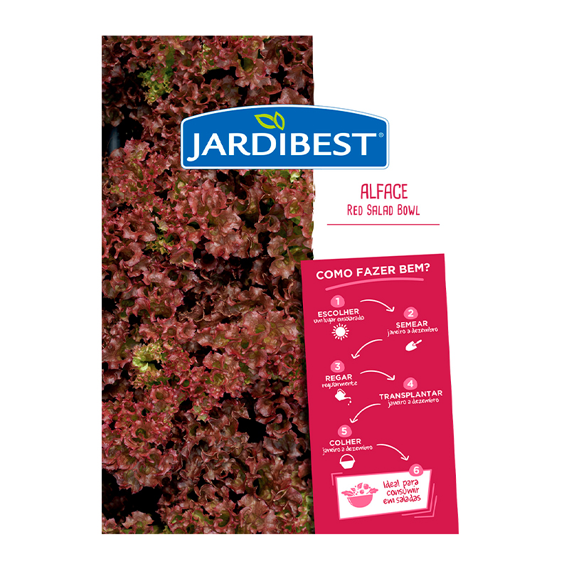 JARDIBEST - Semente Alface Red Salad Bowl