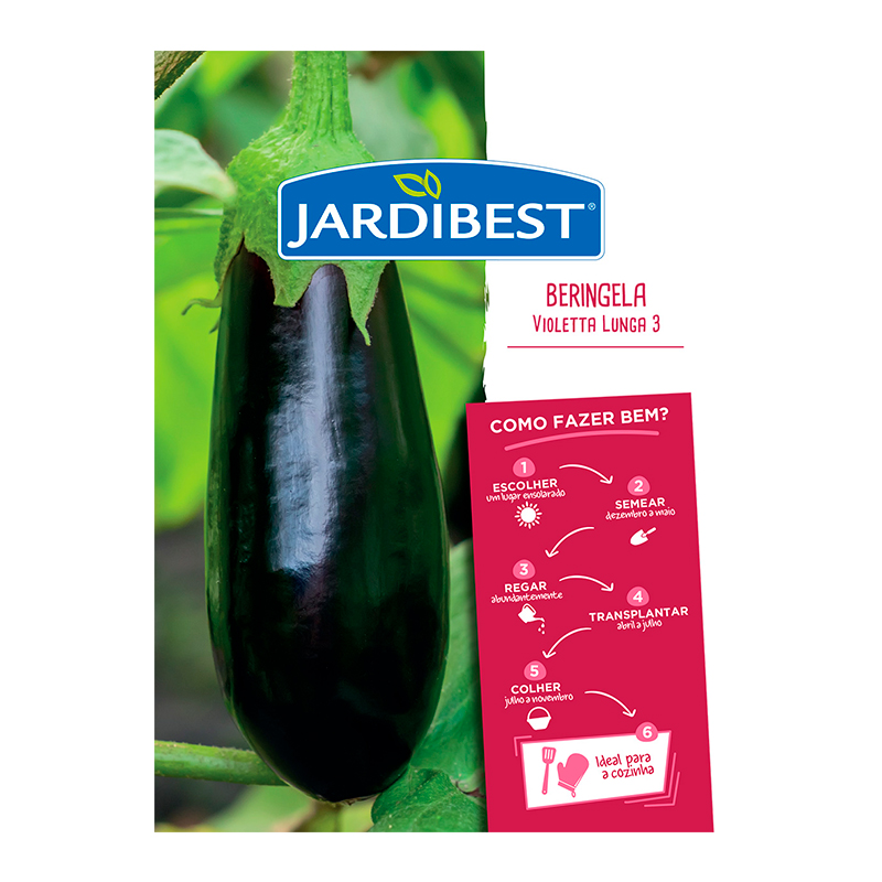 JARDIBEST - Semente Beringela Violetta Lunga 3