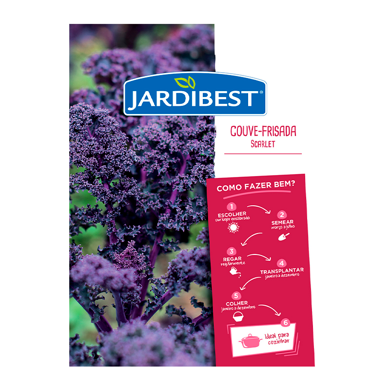 JARDIBEST - Semente Couve-Frisada Scarlet