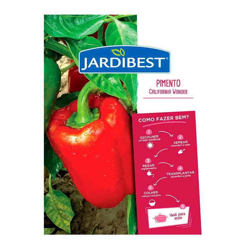 JARDIBEST - Semente Pimento Califórnia Wonder