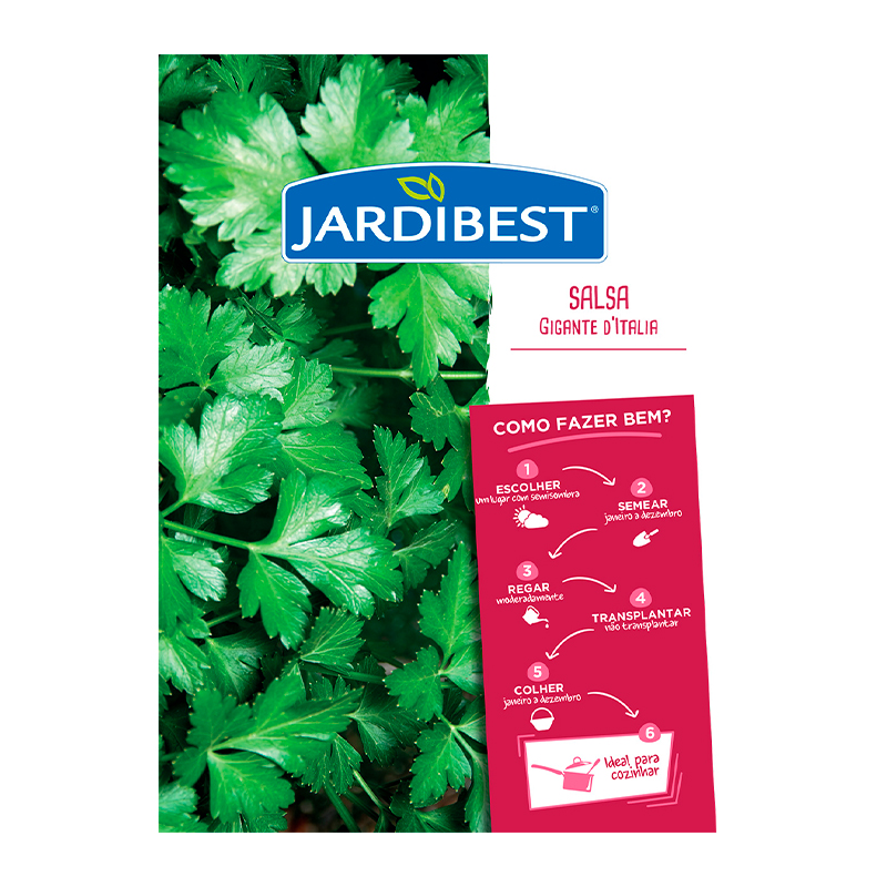 JARDIBEST - Semente Salsa Gigante D'Italia
