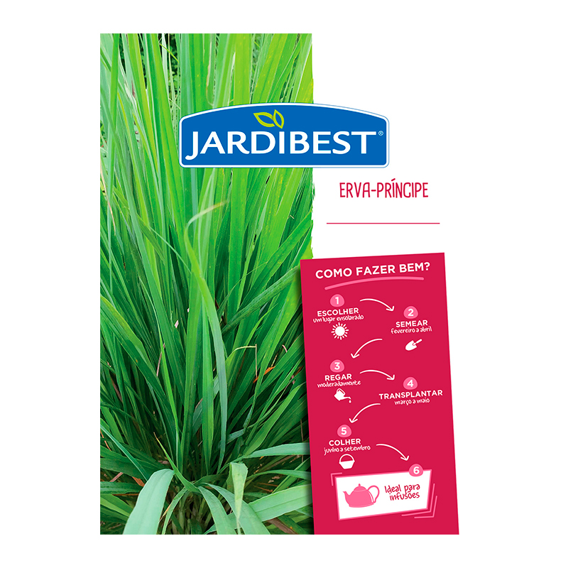 JARDIBEST - Semente Erva-Príncipe