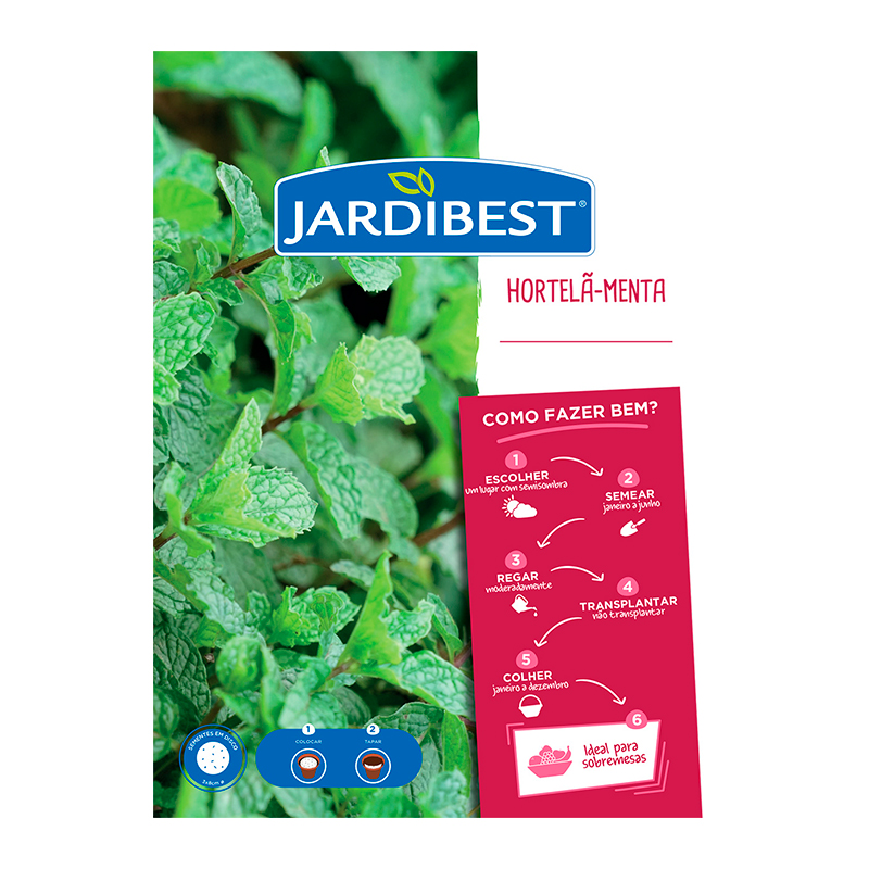 JARDIBEST - Semente Disco Hortelã Menta