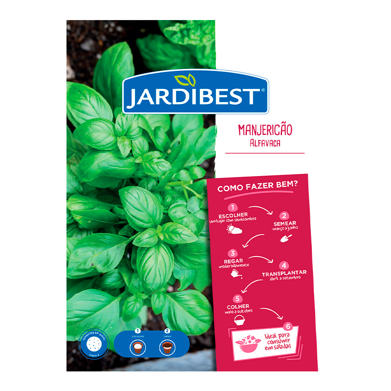 JARDIBEST - Semente Disco Manjericão Alfavaca