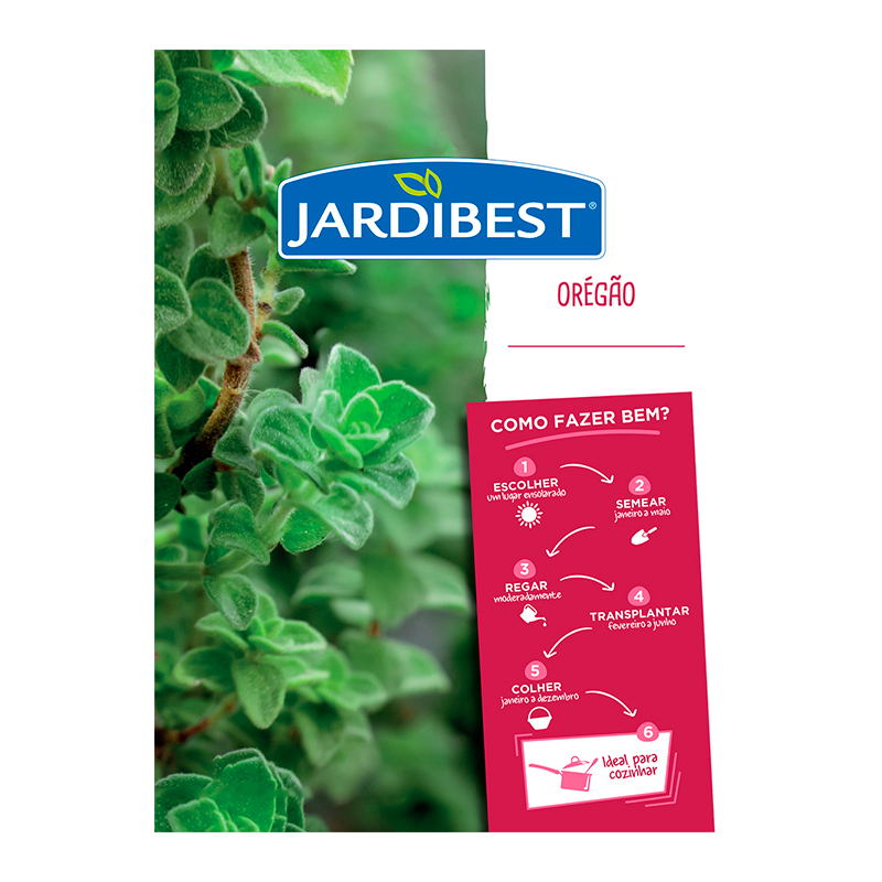 JARDIBEST - Semente Orégãos