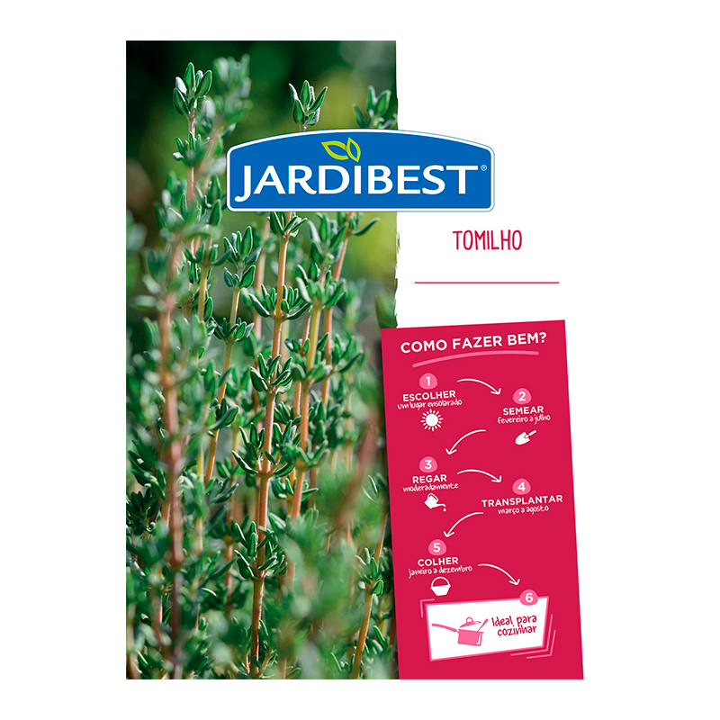 JARDIBEST - Semente Tomilho