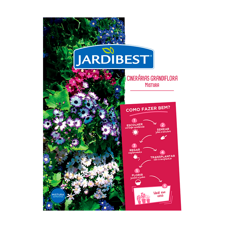 JARDIBEST - Semente Cinerarias Grandiflora Mistura