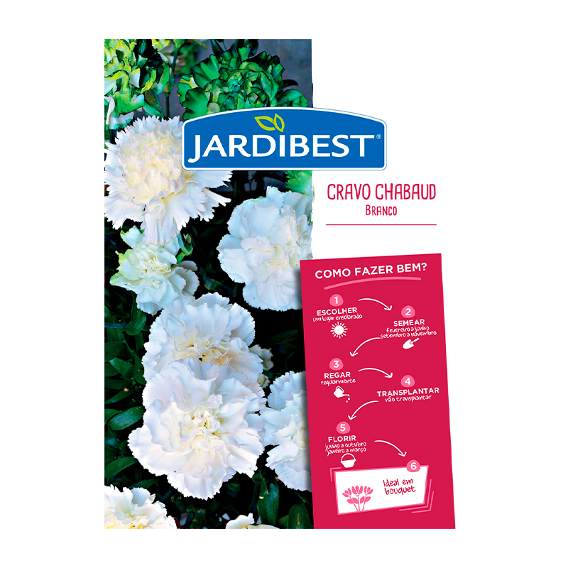 JARDIBEST - Semente Cravo Chabaud Branco