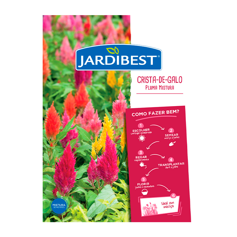 JARDIBEST - Semente Crista Galo Pluma