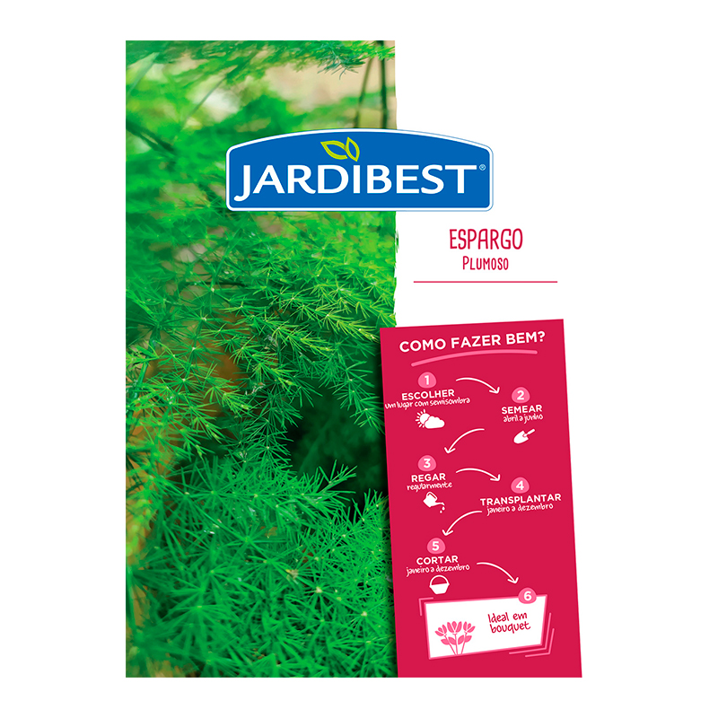 JARDIBEST - Semente Espargo Plumoso