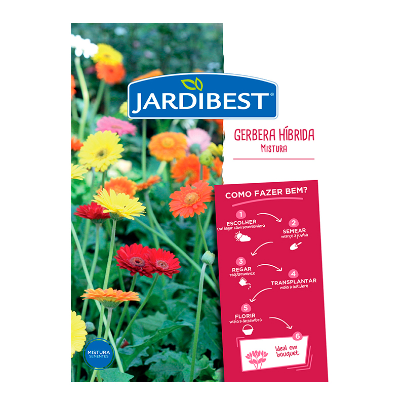 JARDIBEST - Semente Gerbera Hibrida Mix