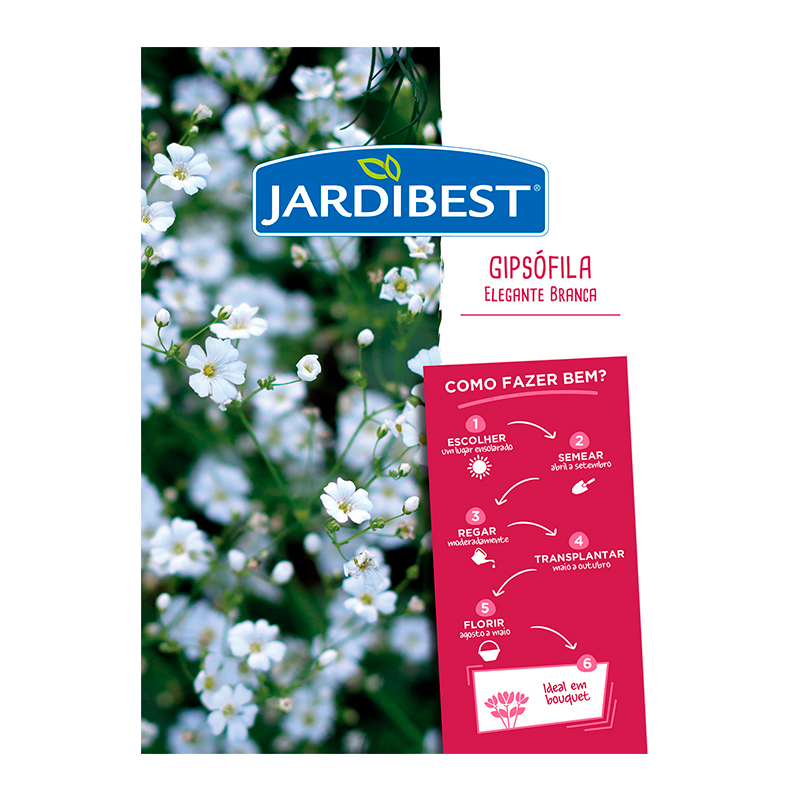 JARDIBEST - Semente Gipsofila Elegante Br