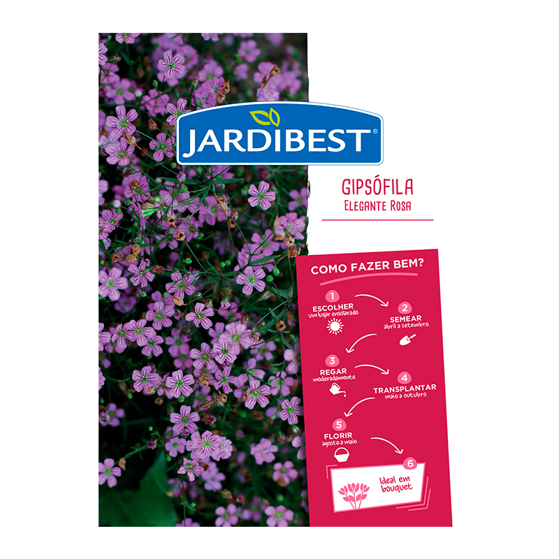 JARDIBEST - Semente Gipsofila Elegante R