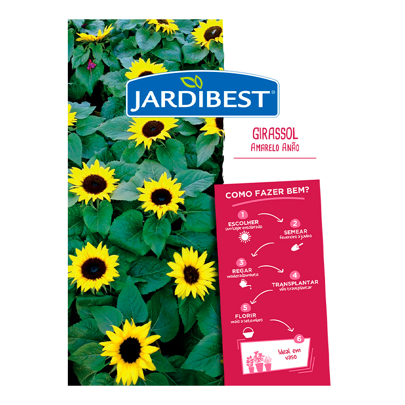JARDIBEST - Semente Girassol Amar.Anao