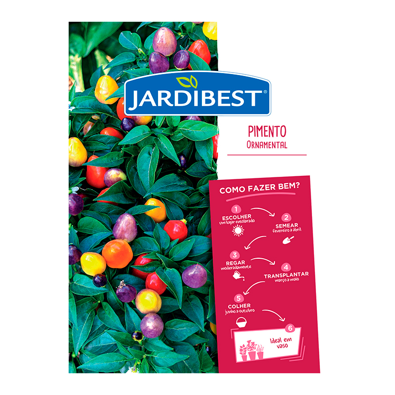 JARDIBEST - Semente Pimento Ornamental