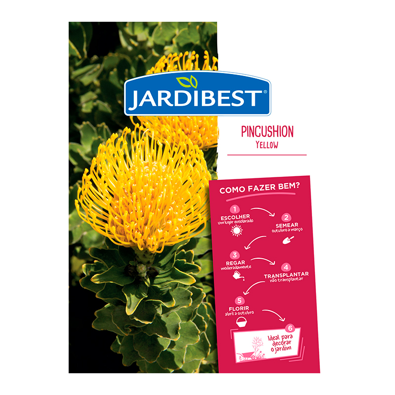 JARDIBEST - Semente Pincushion Yellow