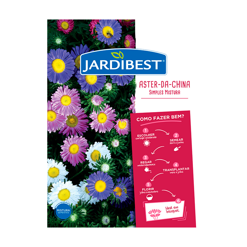JARDIBEST - Semente Rainha Margarida Mix