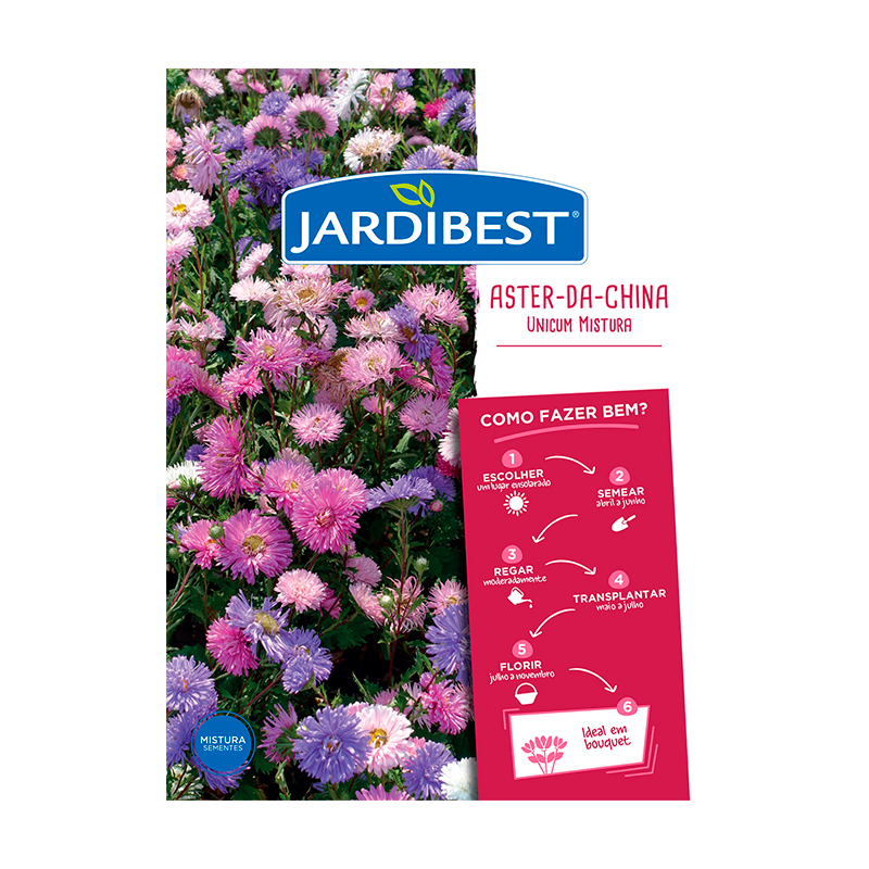 JARDIBEST - Semente Rainha Margarida Unicum Mix