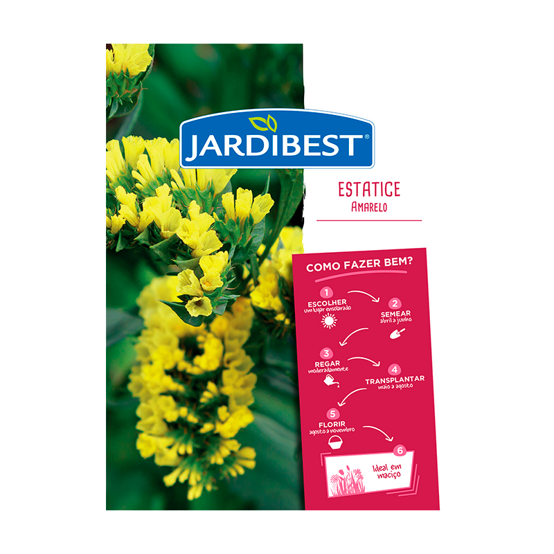 JARDIBEST - Semente Statice Amarelo