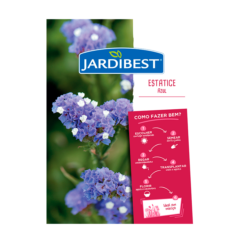 JARDIBEST - Semente Statice Azul