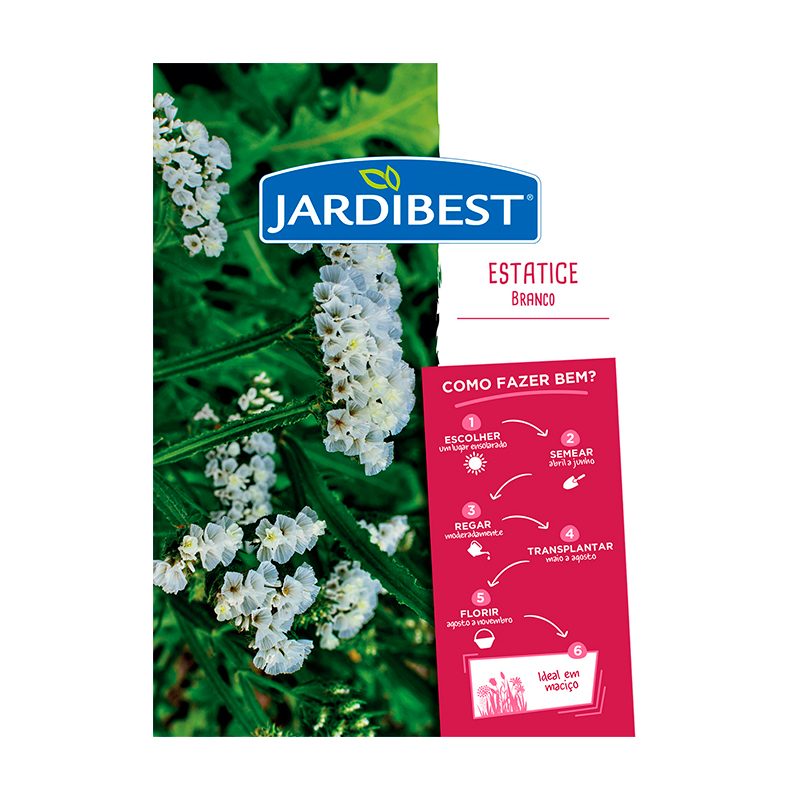 JARDIBEST - Semente Statice Branco