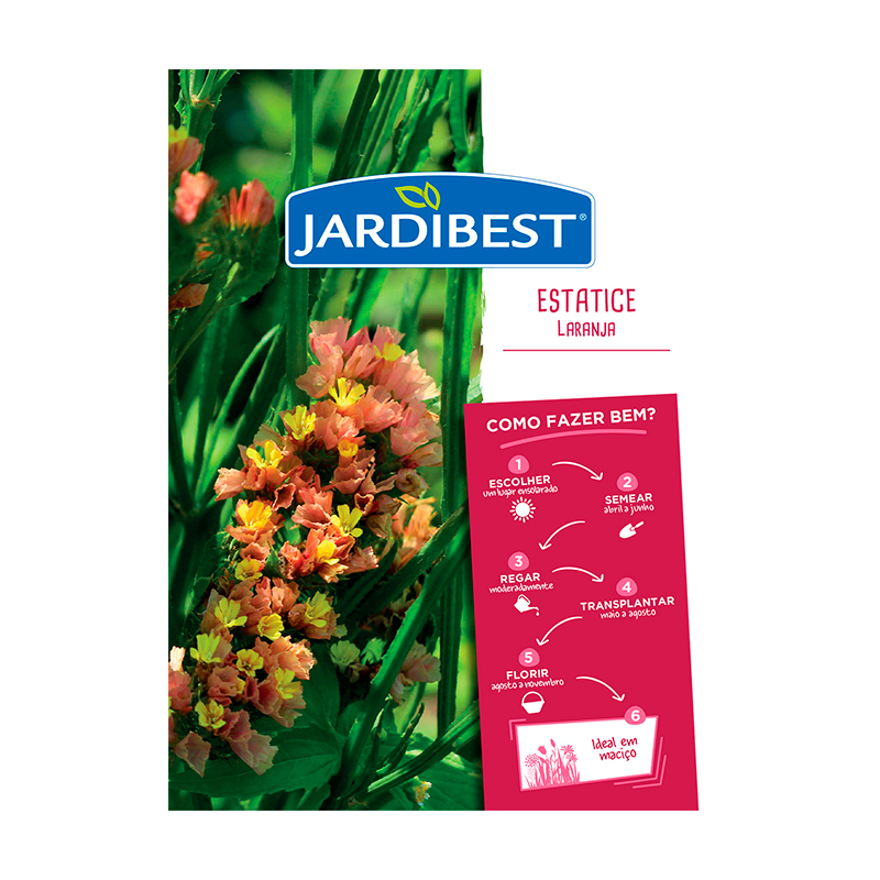 JARDIBEST - Semente Statice Laranja