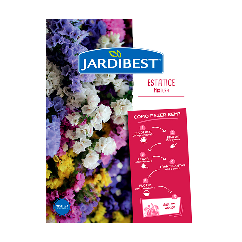 JARDIBEST - Semente Statice Mistura