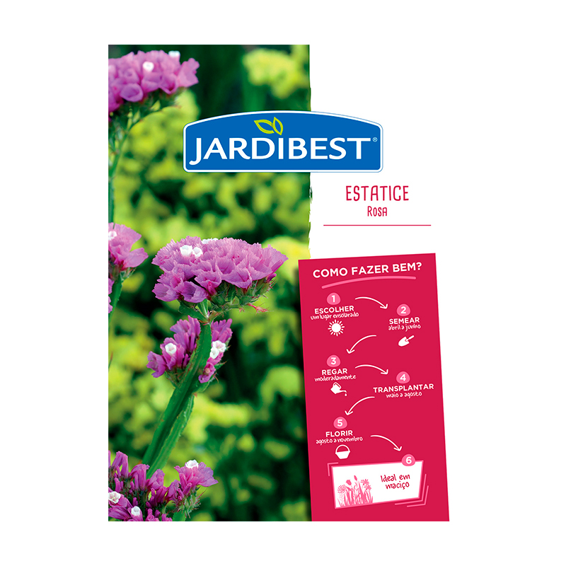 JARDIBEST - Semente Statice Rosa