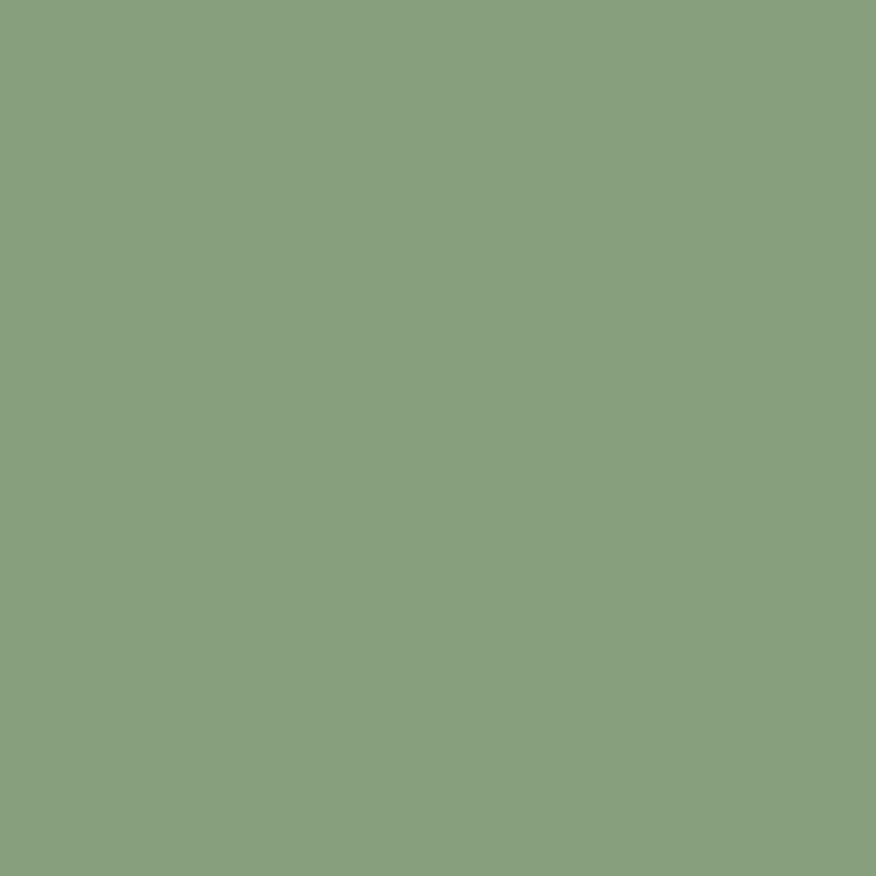 NUANCE - Tinta Madeira Verde Azeitona Acetinada 0.5L