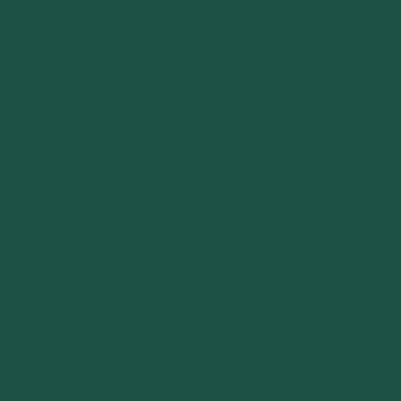 NUANCE - Tinta Multissuperfícies Verde Basco 125Ml
