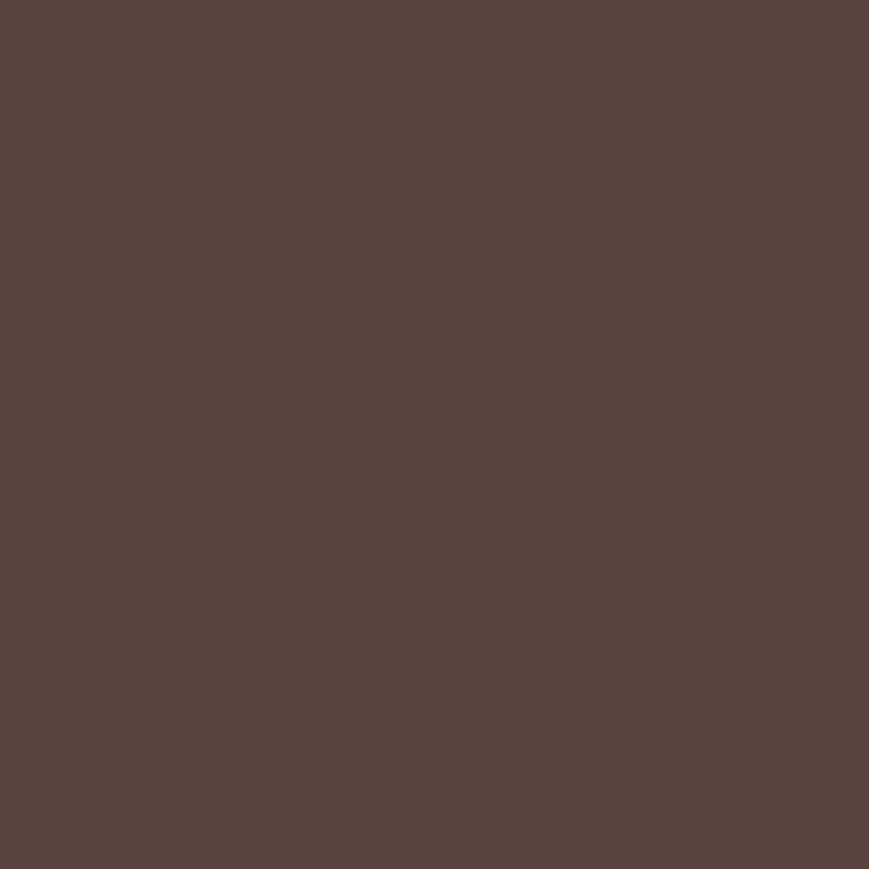 NUANCE - Tinta Madeira Castanho Escuro Acetinada 0.5L
