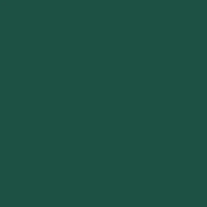 NUANCE - Tinta Madeira Verde Basco Acetinada 2.5L