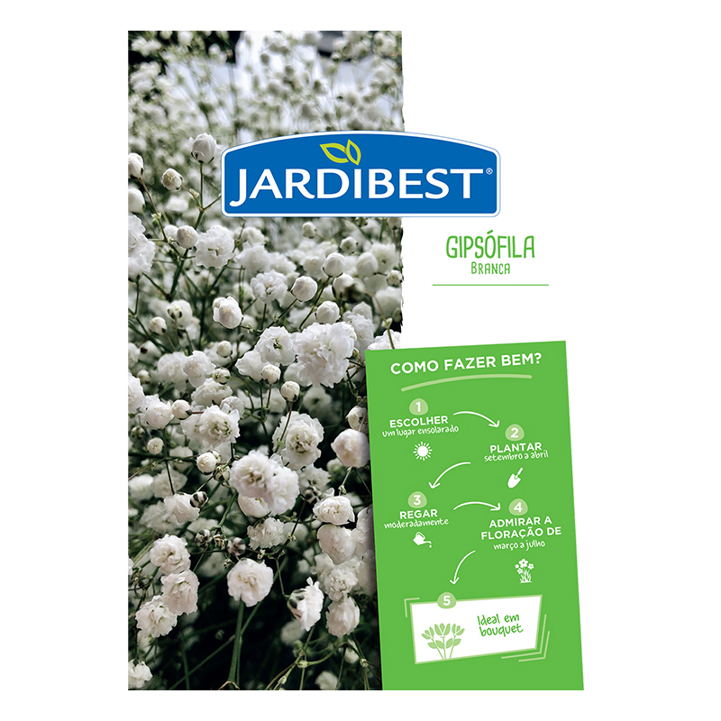 JARDIBEST - Bolbo Gipsofila Branca